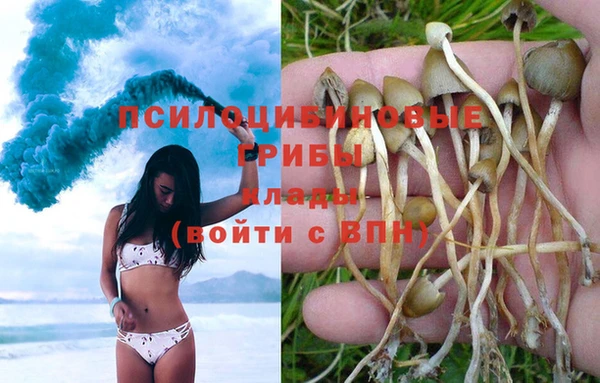 прущая мука Бугульма