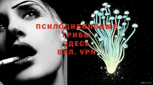 а пвп мука Бикин