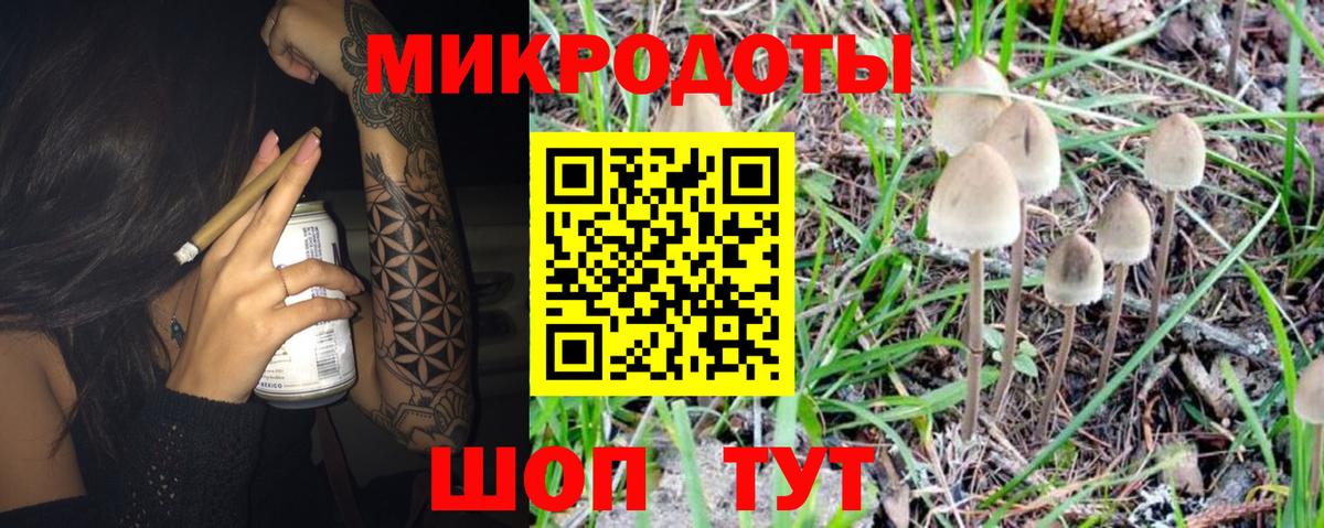 Псилоцибиновые грибы MAGIC MUSHROOMS Губаха