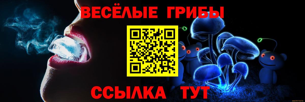 Псилоцибиновые грибы GOLDEN TEACHER  Губаха 