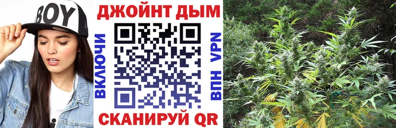 купить цена Губаха Бошки марихуана SATIVA & INDICA